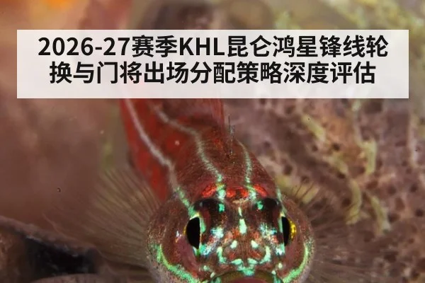 2026-27赛季KHL昆仑鸿星锋线轮换与门将出场分配策略深度评估